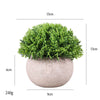 Combination Simulation Potted Plants Nordic Style Home Desktop Decoration Green