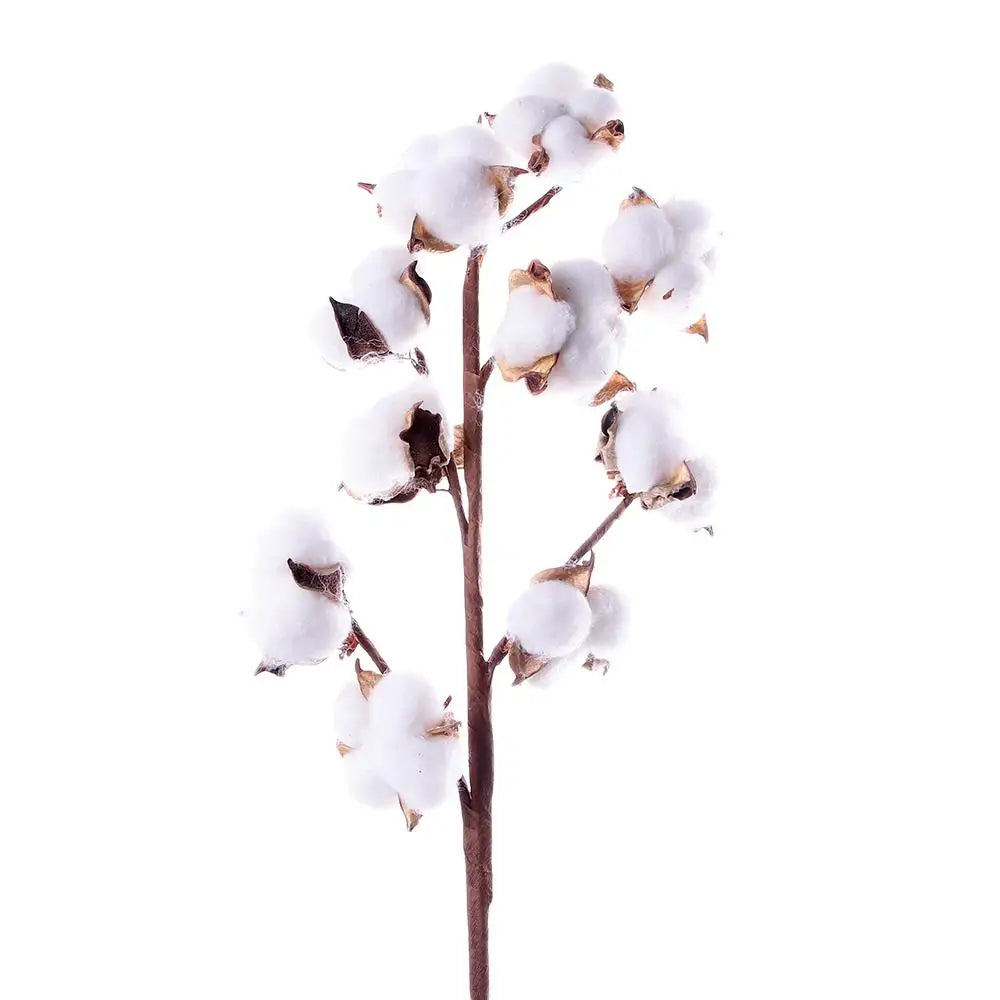 1 PCS 10 Heads Dried Cotton Flower Simple Handmade Artificial Plants Creative Natural False Floral Branch