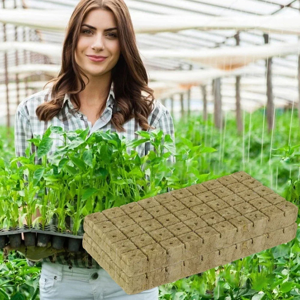 Sponge Block Starter Plugs Rock Wool Grow Cubes Seed Starters Planting Cubes Hydroponics Cuttings Plant Propagation Grow Supply