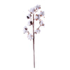 1 PCS 10 Heads Dried Cotton Flower Simple Handmade Artificial Plants Creative Natural False Floral Branch