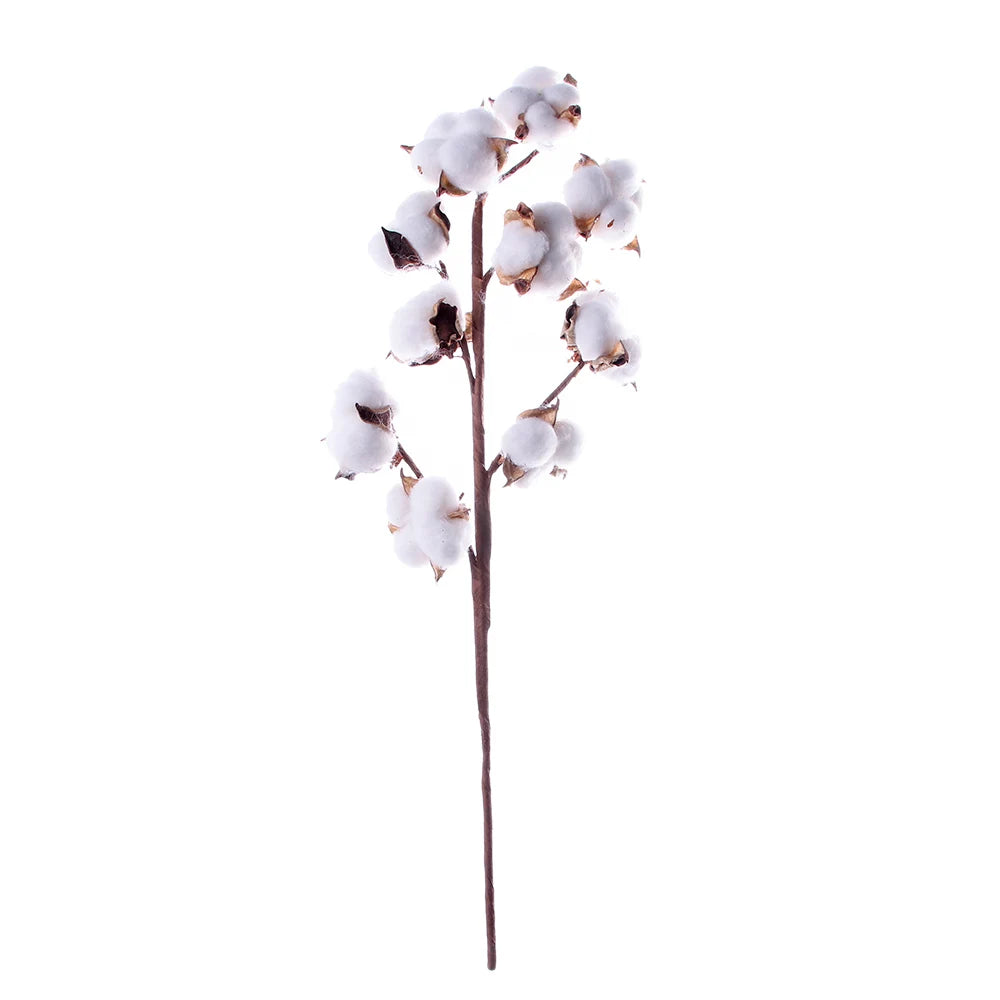 1 PCS 10 Heads Dried Cotton Flower Simple Handmade Artificial Plants Creative Natural False Floral Branch