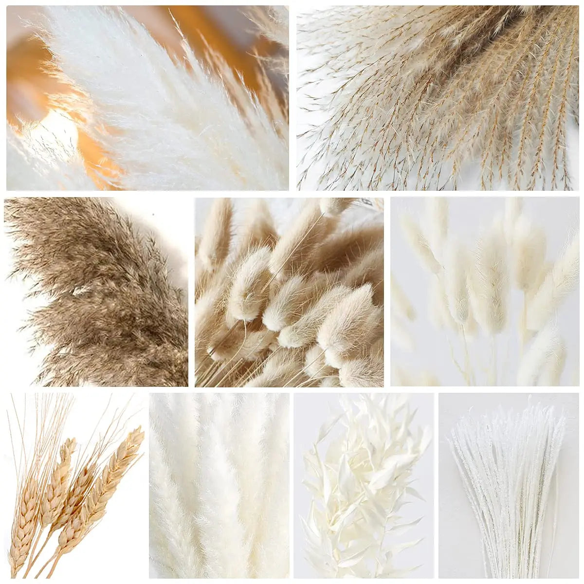 80pcs Pampas Grass Flowers Set,Dried Plants Bouquet Arrangement,100% Natural Dry Flowers Boho Decoration,Living Room Vases Decor