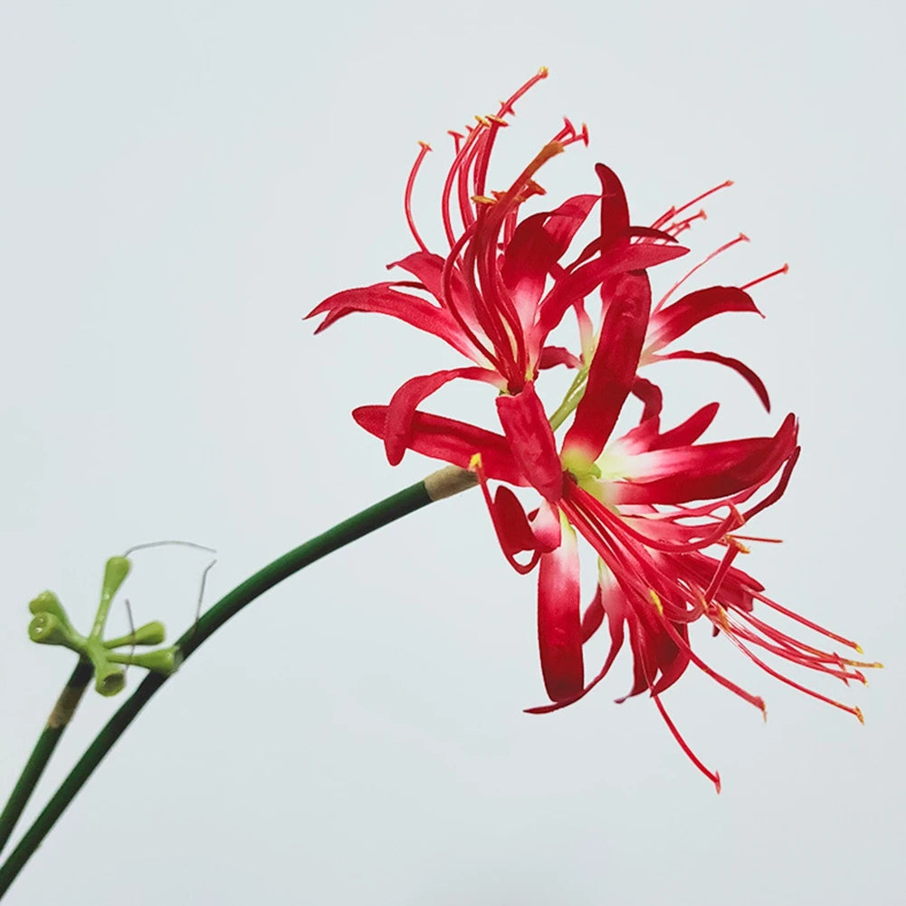 1PCS Artificial Red Spider Lilies Silk Flowers with Long Stem Home Decoration Paramita Lycoris Radiata Mandala Silk Flower