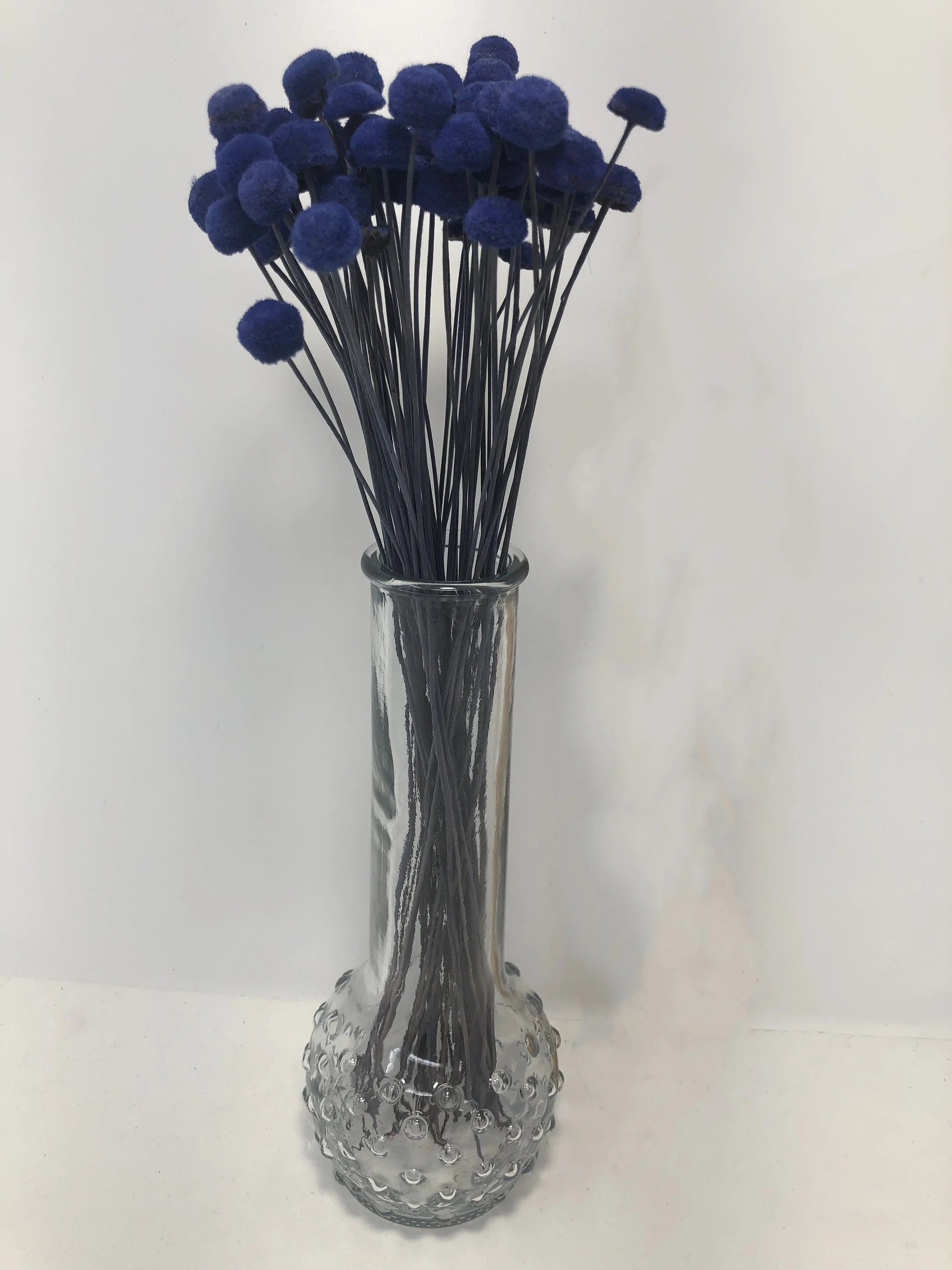 100pcs Button Flower Royal Blue in Cobalt Blue dried flower with a unique shape like a button flower DYI floral Arrangements