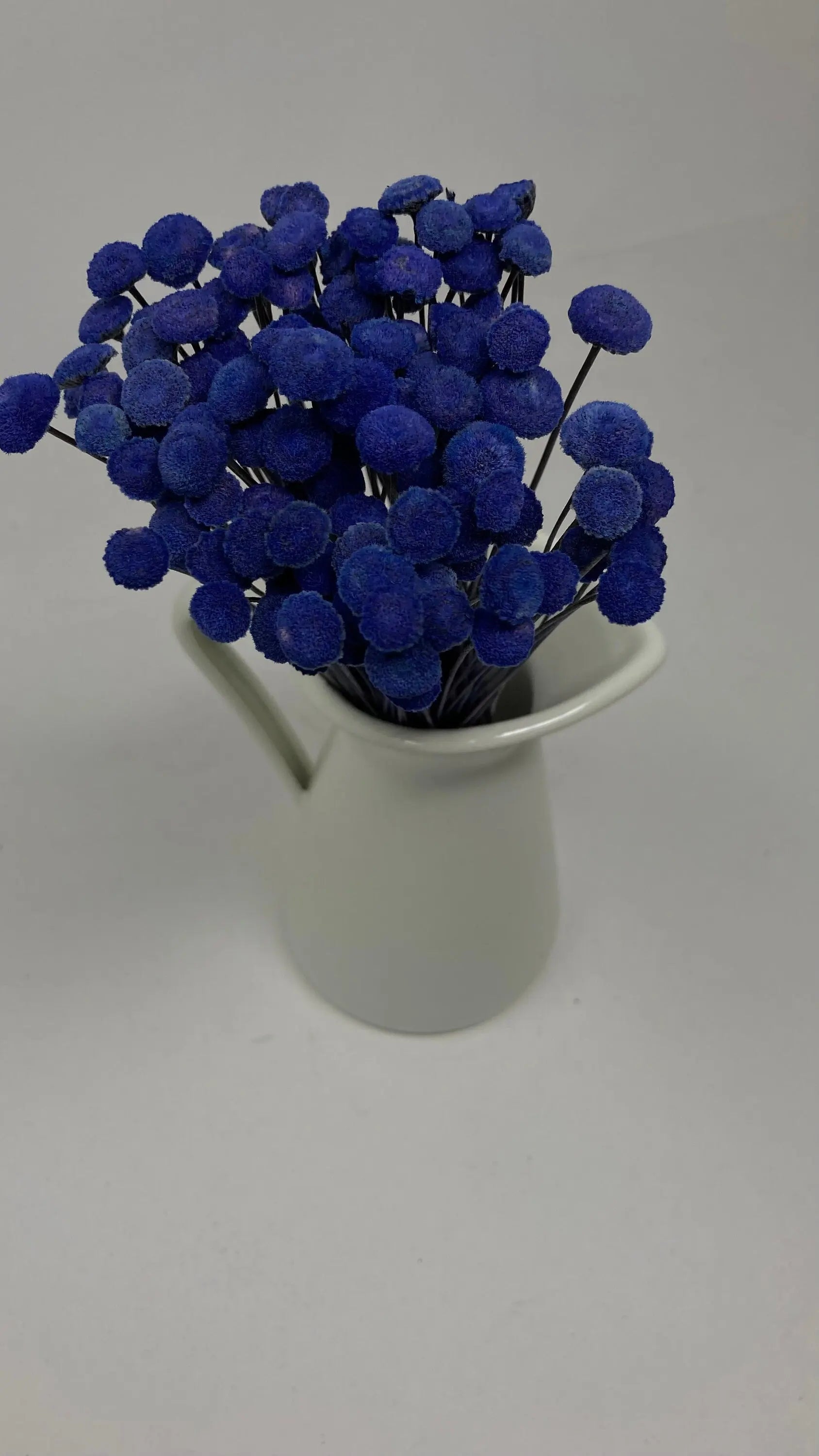 100pcs Button Flower Royal Blue in Cobalt Blue dried flower with a unique shape like a button flower DYI floral Arrangements