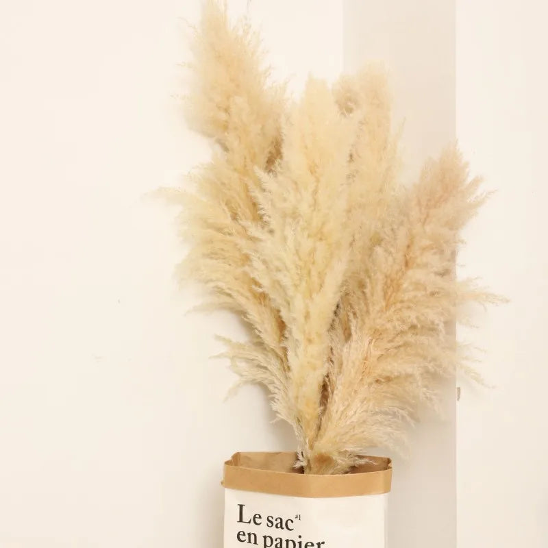 80cm Large Pampas Grass Natural Dried Flowers Bouquet for Wedding Christmas Decoration Fluffy Phragmites Boho Live Home 80cm La