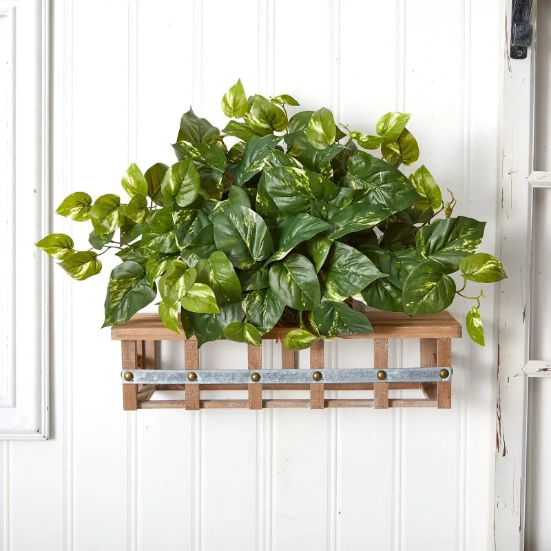 15in. Pothos Ledge Plant (Set on Foam) Silk Plant,Green