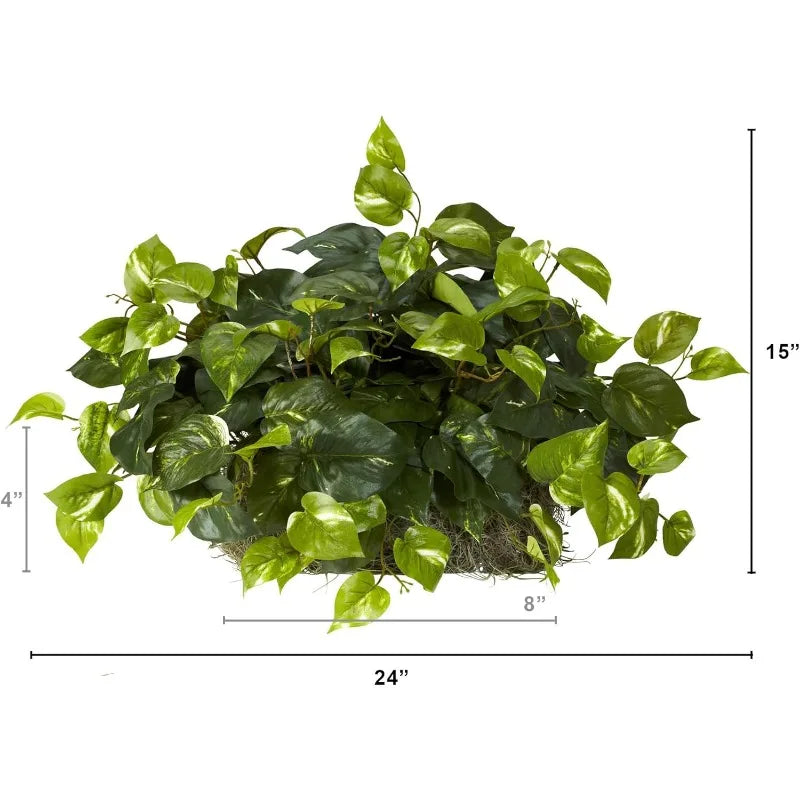 15in. Pothos Ledge Plant (Set on Foam) Silk Plant,Green