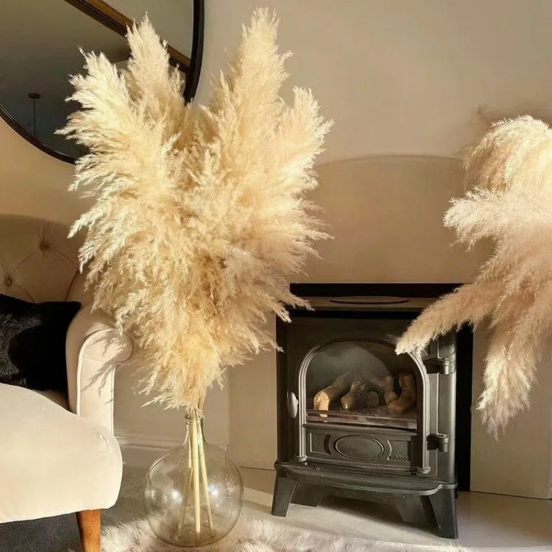 80cm Large Pampas Grass Natural Dried Flowers Bouquet for Wedding Christmas Decoration Fluffy Phragmites Boho Live Home 80cm La