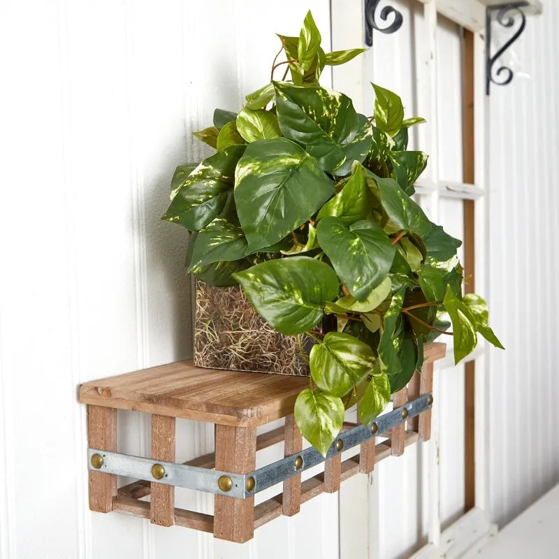 15in. Pothos Ledge Plant (Set on Foam) Silk Plant,Green