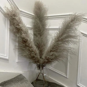 80cm Large Pampas Grass Natural Dried Flowers Bouquet for Wedding Christmas Decoration Fluffy Phragmites Boho Live Home 80cm La