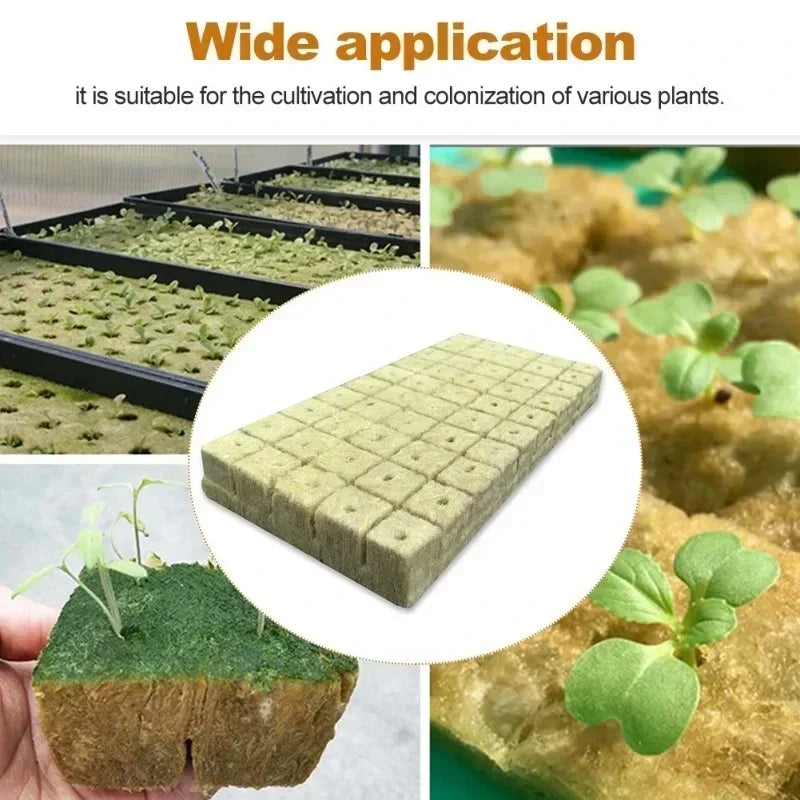 Sponge Block Starter Plugs Rock Wool Grow Cubes Seed Starters Planting Cubes Hydroponics Cuttings Plant Propagation Grow Supply