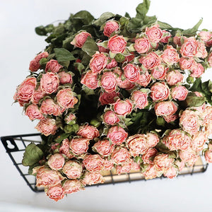 30pcs Natural rosas Bouquet Dried Fresh Eternell Rose Floral Preserved Rose Flower Wedding Home Table Decoration DIY Epoxy Resin