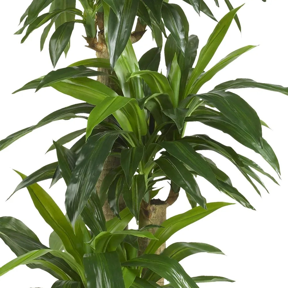 Artificial Corn Stalk Dracaena Plants, Tall Fake Plants, Indoor Home Decoration, Real Touch Faux Plant, 62IN