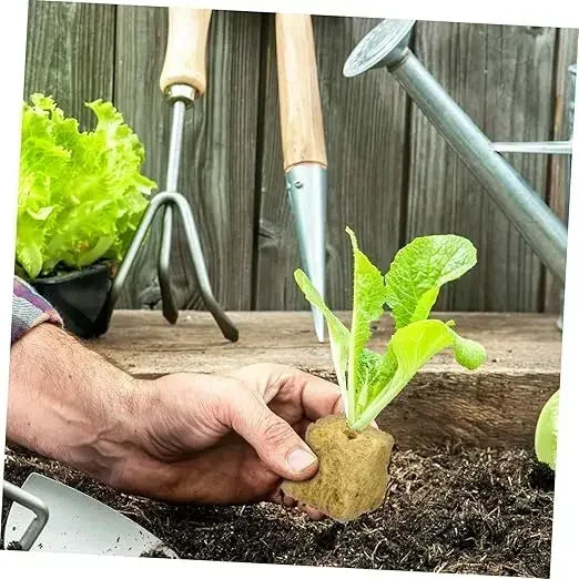 Sponge Block Starter Plugs Rock Wool Grow Cubes Seed Starters Planting Cubes Hydroponics Cuttings Plant Propagation Grow Supply