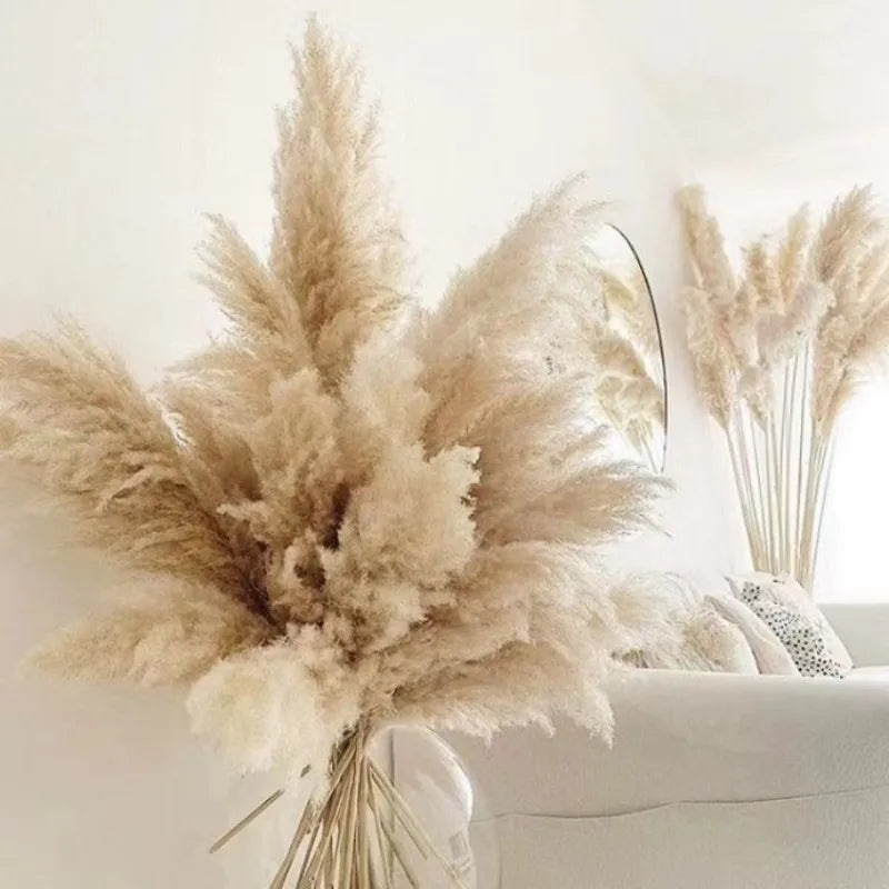 80cm Large Pampas Grass Natural Dried Flowers Bouquet for Wedding Christmas Decoration Fluffy Phragmites Boho Live Home 80cm La