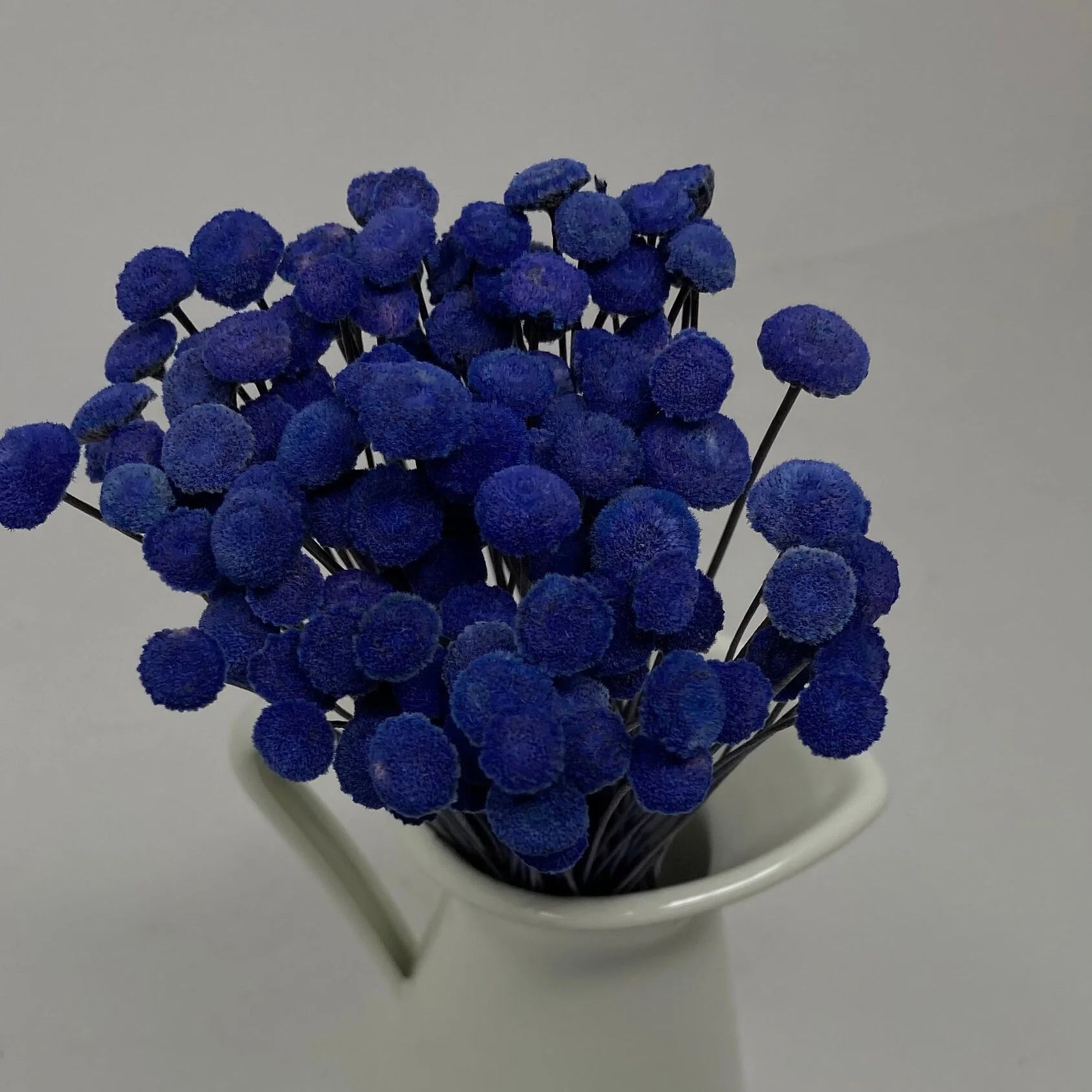 100pcs Button Flower Royal Blue in Cobalt Blue dried flower with a unique shape like a button flower DYI floral Arrangements