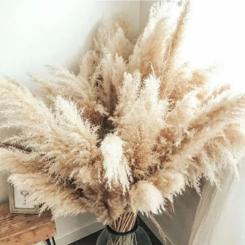 80cm Large Pampas Grass Natural Dried Flowers Bouquet for Wedding Christmas Decoration Fluffy Phragmites Boho Live Home 80cm La