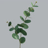 SunMade 2 Forks Long Branch Eucalyptus Real Touch Artificial Flower Living Room Table Decoration Artificial Leaves Fake Plants