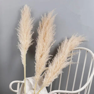 80cm Large Pampas Grass Natural Dried Flowers Bouquet for Wedding Christmas Decoration Fluffy Phragmites Boho Live Home 80cm La